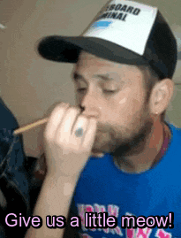 a man wearing a hat and a blue shirt is holding a pencil in his mouth and says give us a little meow