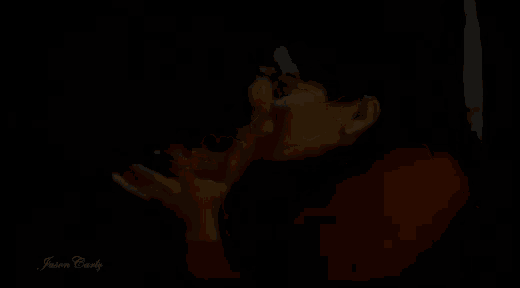 a woman in a red sweater is licking another woman 's face in the dark .