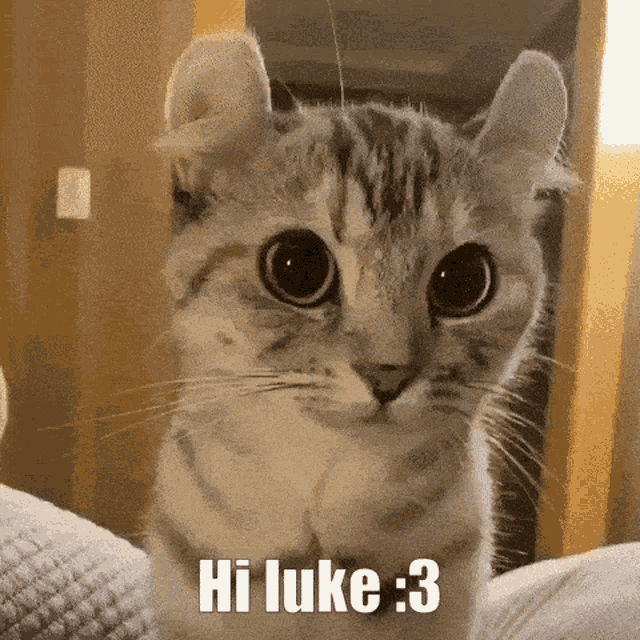 Hi Luke Hey Luke GIF - Hi Luke Hey Luke Hi GIFs