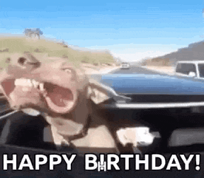a dog is sitting in a car with its mouth open and says `` happy birthday '' .
