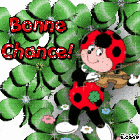 a ladybug is playing a violin with the words bonne chance written above it