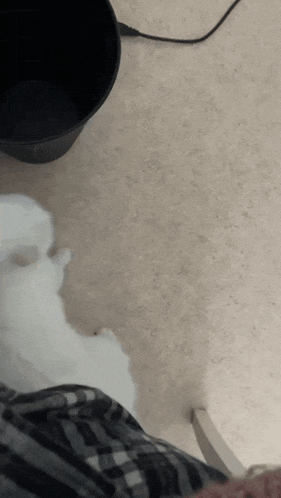 a black trash can sits on the floor next to a person