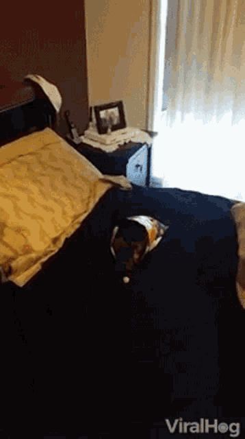 a dog is laying on a bed next to a nightstand .
