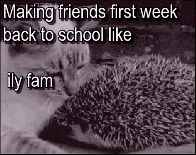 College Back To School GIF - College Back To School Ily Fam GIFs