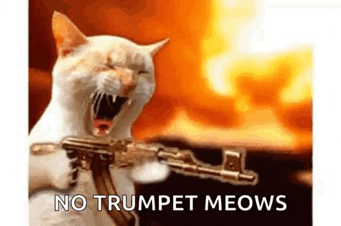 a cat is holding a gun in front of a fire with the words no trumpet meows below it .