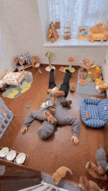 a man is laying on the floor surrounded by cats and toys
