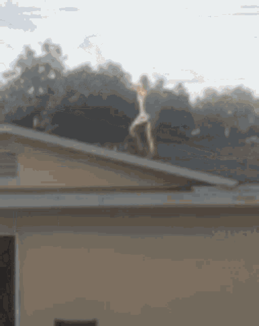 Rooftop Drunk Girl GIF - Rooftop Drunk Girl Falling GIFs