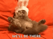 a cat wearing a bunny hat is laying on its back on a red blanket .
