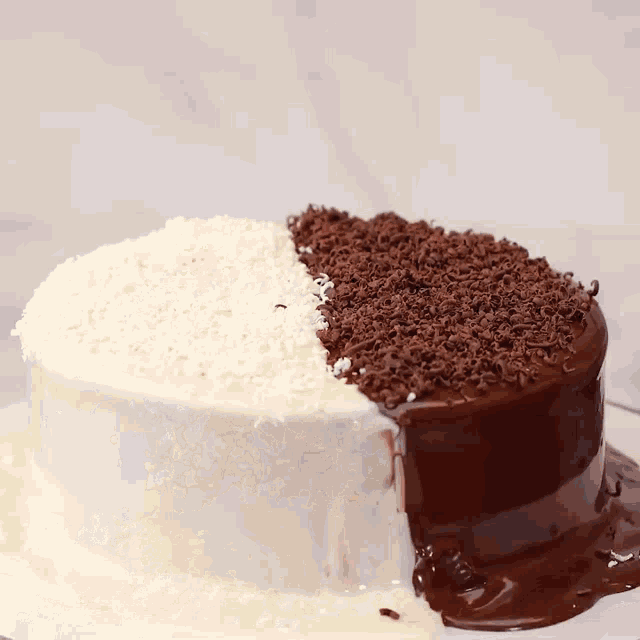a half white half chocolate cake with sprinkles on it