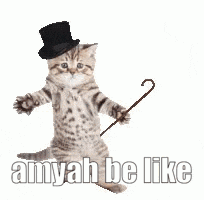 a kitten is holding a top hat and cane .