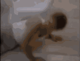 a man is laying on his stomach in a room with smoke coming out of the window .