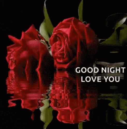 Rose Good Night GIF - Rose Good Night Love You GIFs