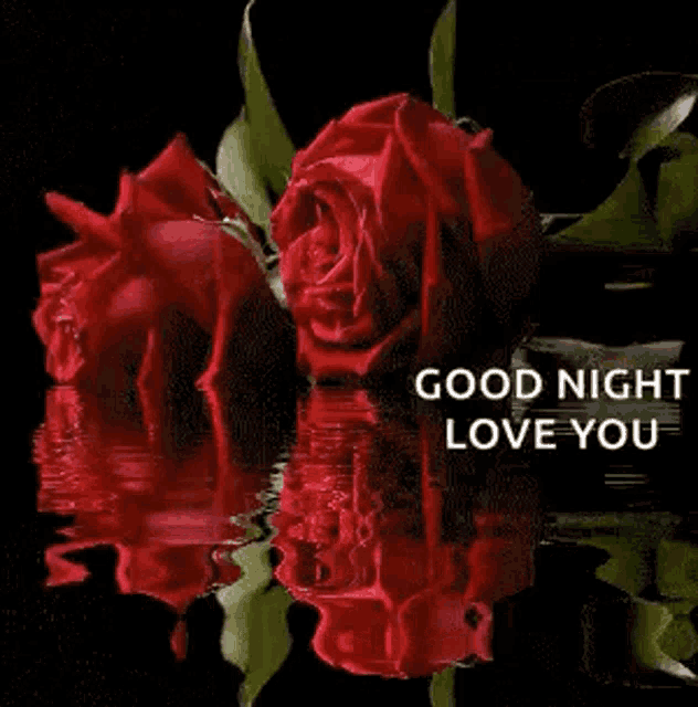 a couple of red roses are reflected in the water with the words `` good night love you '' .