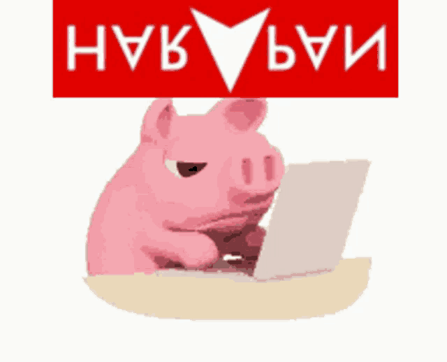 a picture of a pig using a laptop with the words red babi army