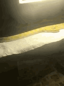 a large yellow snake is crawling on a bed in a dark room .