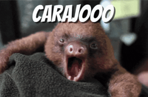 a close up of a sloth with the word carajooo on it