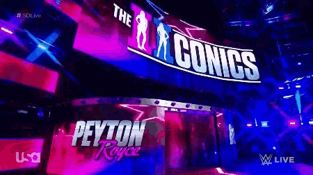 peyton royce is being introduced on a wwe live show