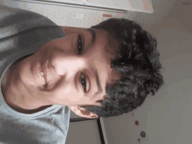a young man with curly hair is smiling and wearing a gray shirt