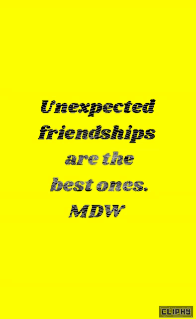 a yellow background with the words unexpected friendships are the best ones