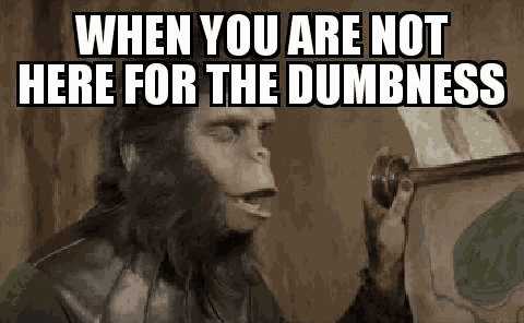 a monkey with a beard is holding a map and saying `` when you are not here for the dumbness '' .
