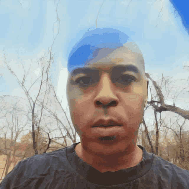 a man in a black shirt with a blue sky in the background looks at the camera