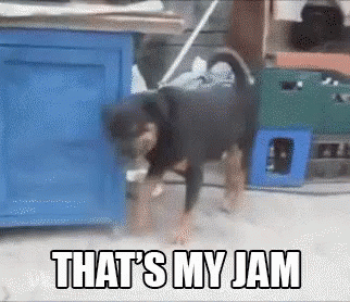 That'S My Jam GIF - Dogs Dance GIFs
