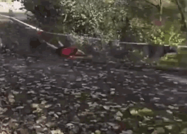 a person in a red shirt is laying on the ground in a forest