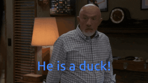 a bald man pointing at someone with the words he is a duck behind him