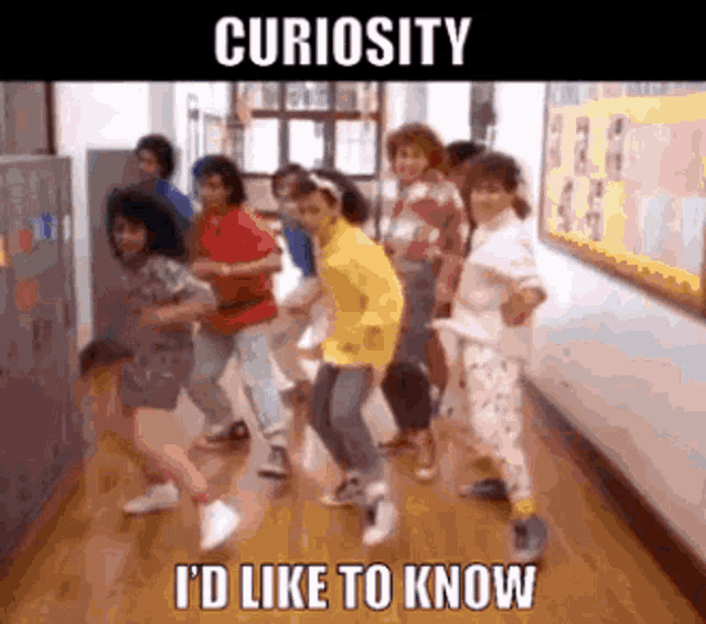 Curiosity The Jets GIF