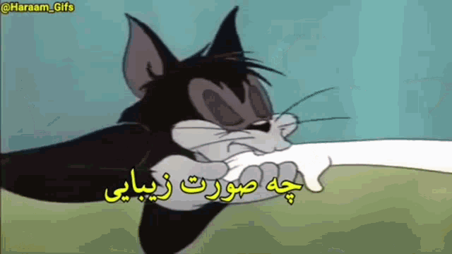 a cartoon cat with a foreign language caption
