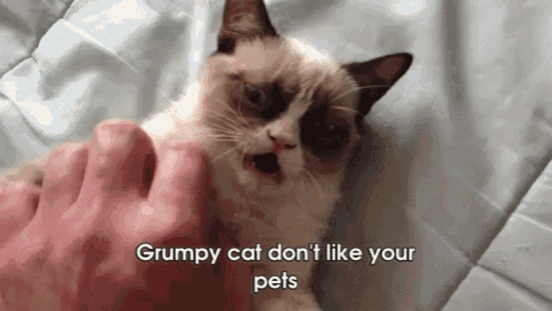 a grumpy cat laying on a bed with the words grumpy cat do n't like your pets above it