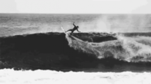 Surfer Wave GIF - Surfer Wave Ocean GIFs