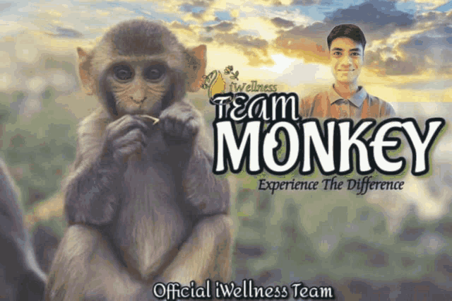 Iwellness Team Monkey Iwellness GIF - Iwellness Team Monkey Iwellness Myiwellness GIFs