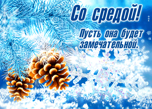 a christmas greeting card with pine cones and snowflakes in russian