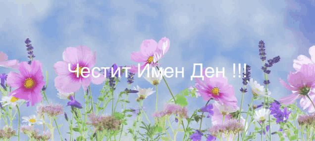 a field of pink and purple flowers with the words " честит имен ден " written on the bottom