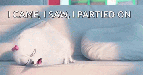 The Secret Life Of Pets Partiedon GIF - The Secret Life Of Pets Partiedon Hangover GIFs