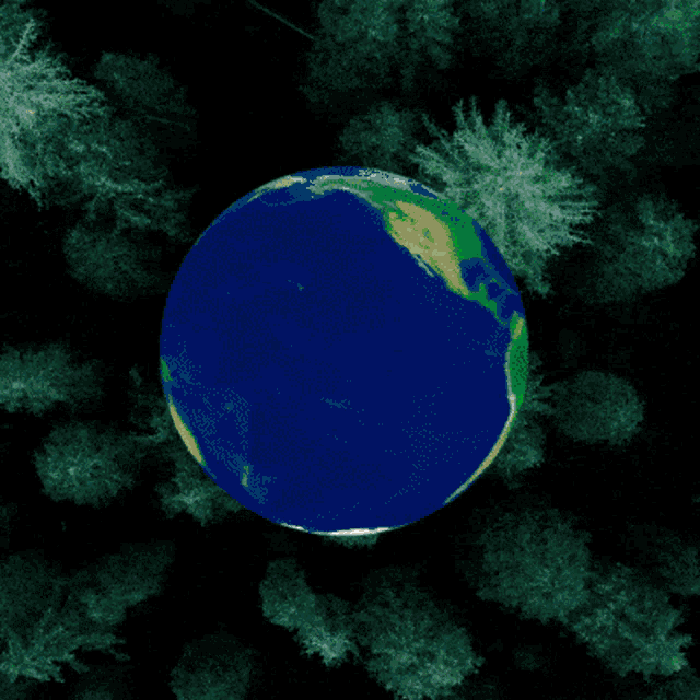 Earth C40 GIF - Earth C40 Novo GIFs