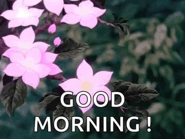 a good morning greeting with pink flowers and leaves