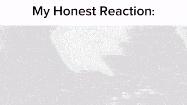 a gray background with the words my honest reaction on it
