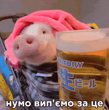 a pig in a stroller next to a suntory beer