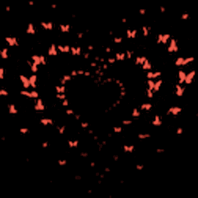 a bunch of butterflies are flying in a circle on a black background