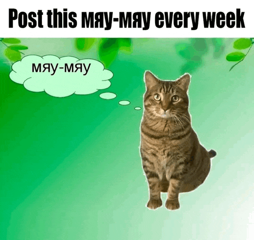 a cat with a thought bubble that says " may-may "