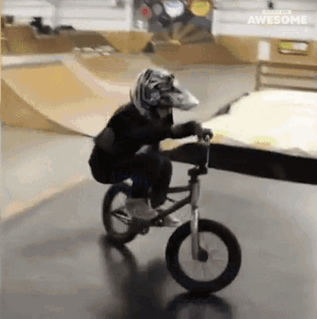 a young boy wearing a helmet is riding a bike on a ramp .