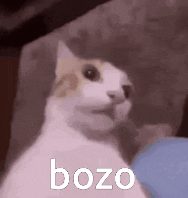 a cat is sitting on a couch and making a funny face .