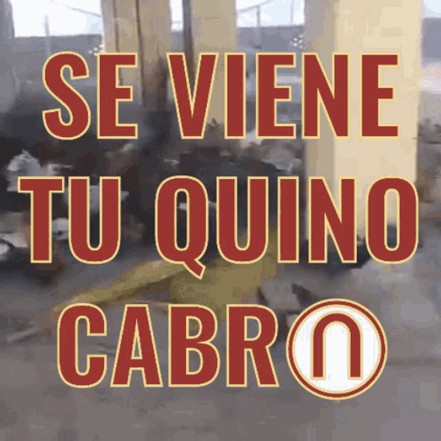 a sign that says se viene tu quino cabro