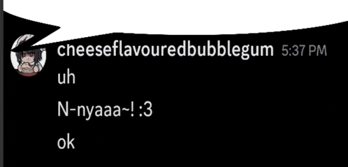 a screenshot of a conversation between cheeseflavouredbubblegum and n-nyaaa-1.3