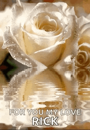 a white rose is reflected in the water with the words for you my love rick written below it .