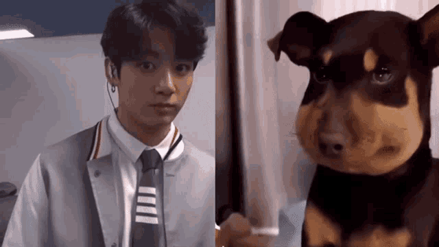 a man in a suit and tie next to a stuffed animal