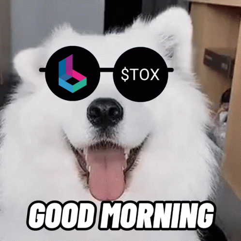 Tox Tox Token GIF - Tox Tox Token Tox Nft GIFs