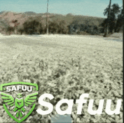 a green shield with the word safuu on it is on a white background .